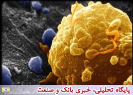 افزایش ماندگاری داروی درمان سرطان پستان با راهکار محققان ایرانی